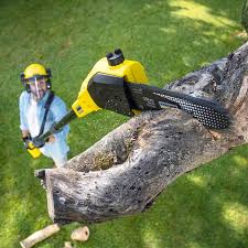 Best Lawn Mowing Services  in Val Verde, CA